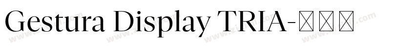 Gestura Display TRIA字体转换 Gestura Display TRIA字体转换